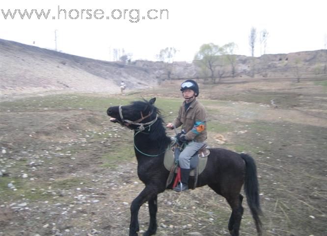 [灌水]   四川马友体验环湖骑马耐力赛