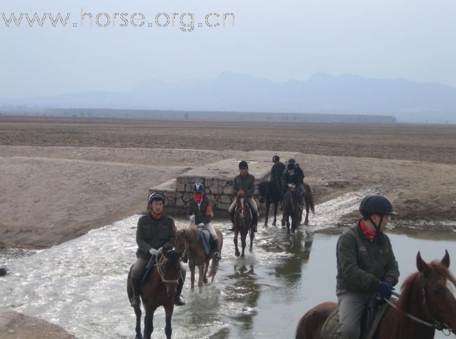 [灌水]   四川马友体验环湖骑马耐力赛