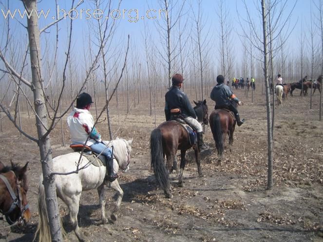 [灌水]   四川马友体验环湖骑马耐力赛