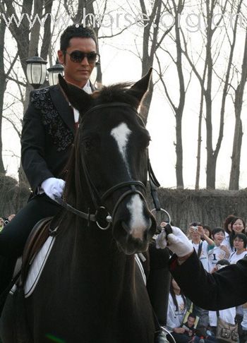 [贴图]  骏男骏女...集合咯...
