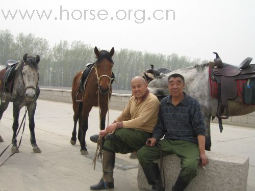 胖哥的高丽营马厂开业啦!!!