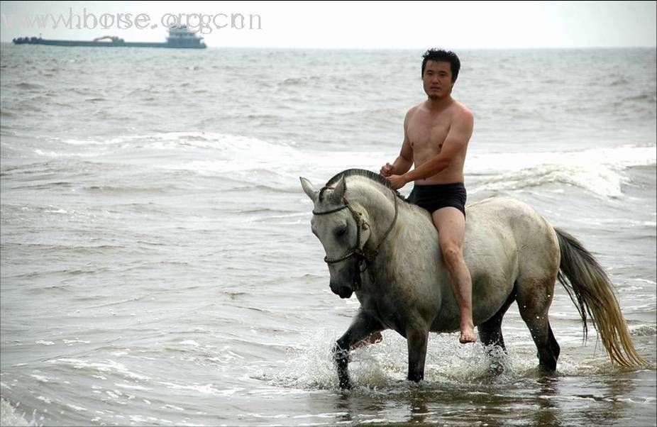 试试发图片