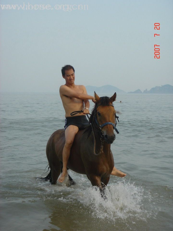 试试发图片