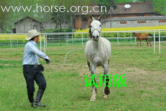 重发我的马