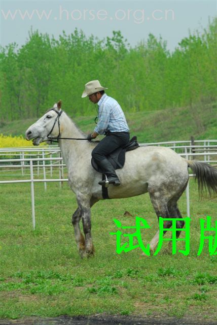 重发我的马