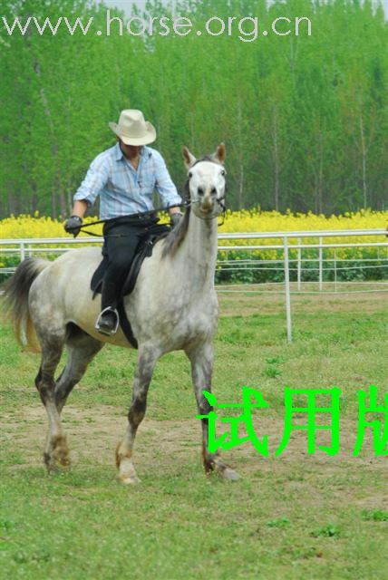 重发我的马