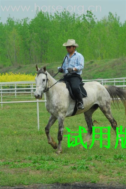 重发我的马