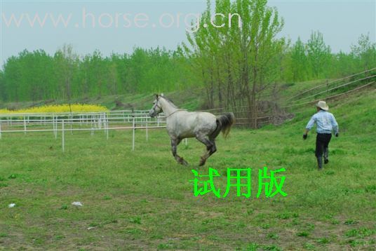 重发我的马
