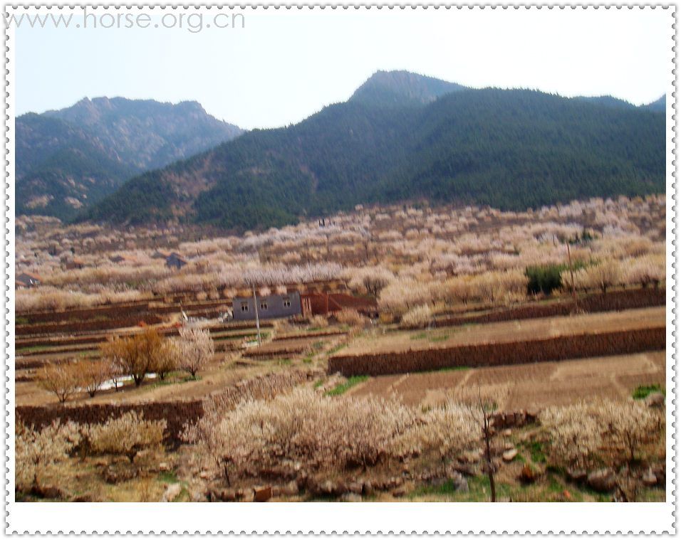 山东马友再聚青岛凤凰山庄周年庆--穿越崂山骑游记