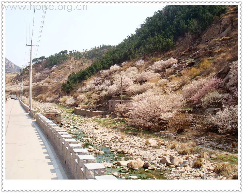 山东马友再聚青岛凤凰山庄周年庆--穿越崂山骑游记