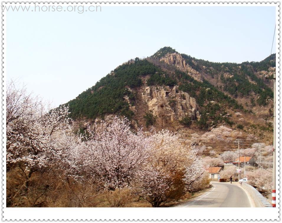 山东马友再聚青岛凤凰山庄周年庆--穿越崂山骑游记(更新中)