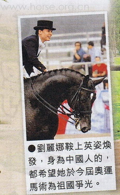 一篇在賽馬資料刋物裡的連載特稿