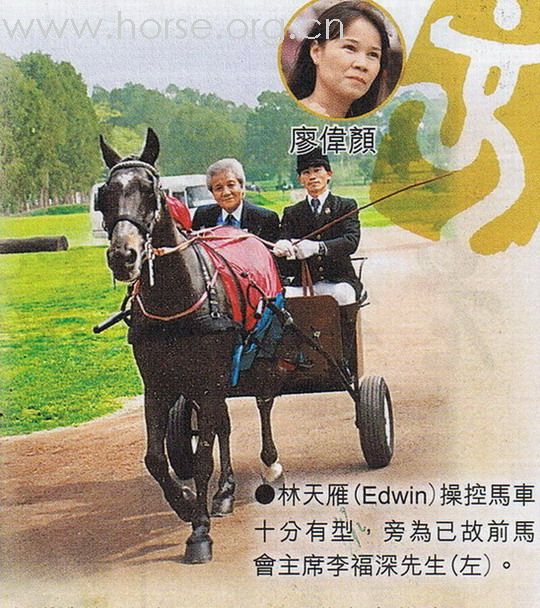一篇在賽馬資料刋物裡的連載特稿