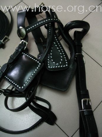出售母马一匹5岁,半血,身高160cm.