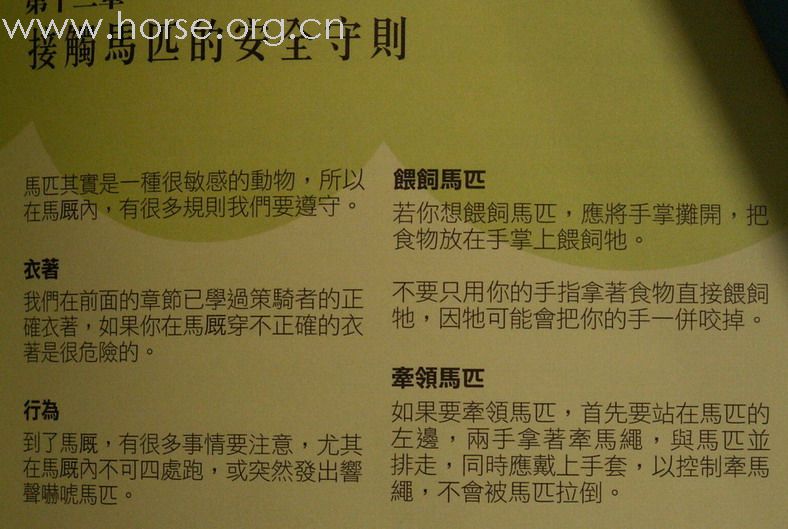 《香港馬術總會》送免費教材