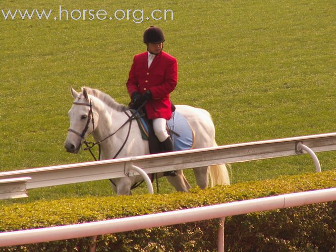 騎術精湛的---香港賽馬會儀仗馬
