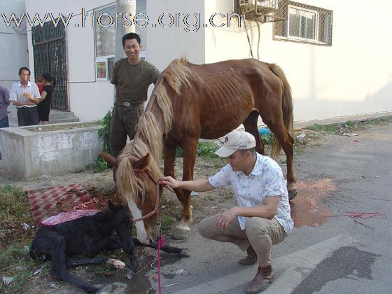 难过又高兴