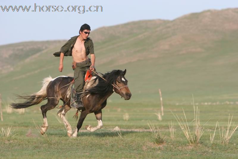 UDdARsgz.jpg