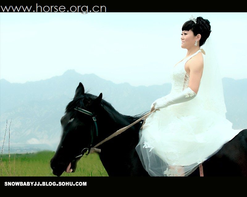 原创：马背上的婚纱摄影