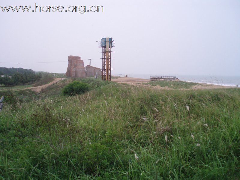 环境很好的空闲海滩场地合作招商,适合开办马场