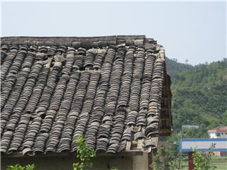 灾后的陕西宁强矮马繁育基地