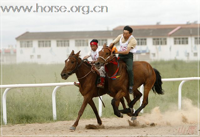 2008－07－05 锡盟赛马大会