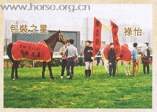 半部香港馬術史 - 第十六、十七、十八篇