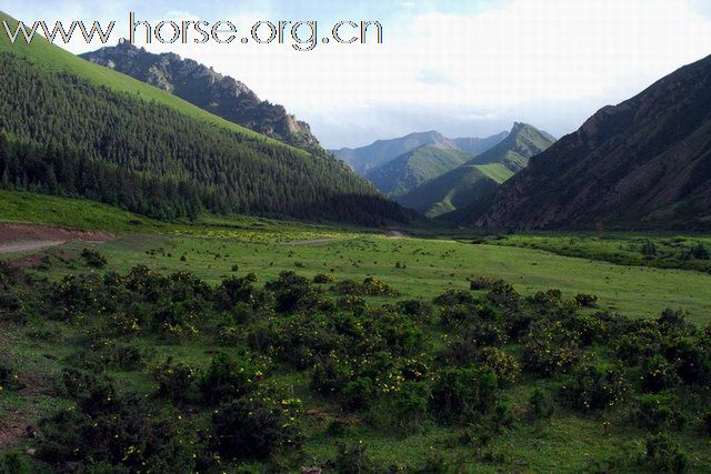 成都马友山丹纪行