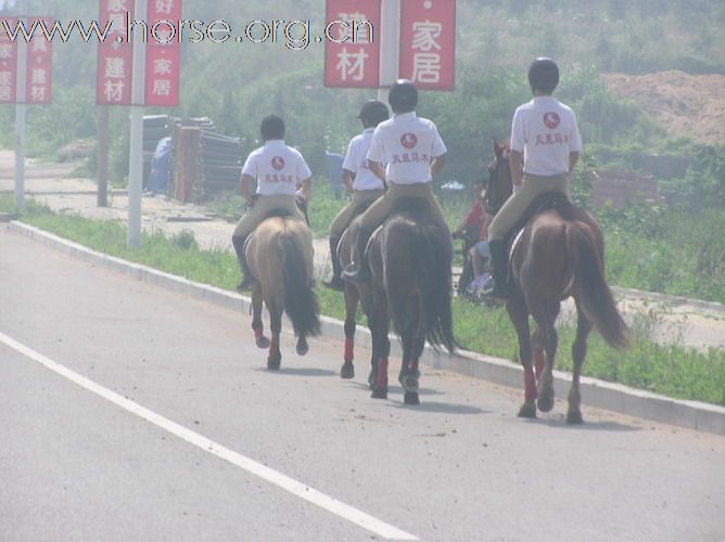 青岛凤凰马术、德瑞马术7月6日迪卡侬活动组图