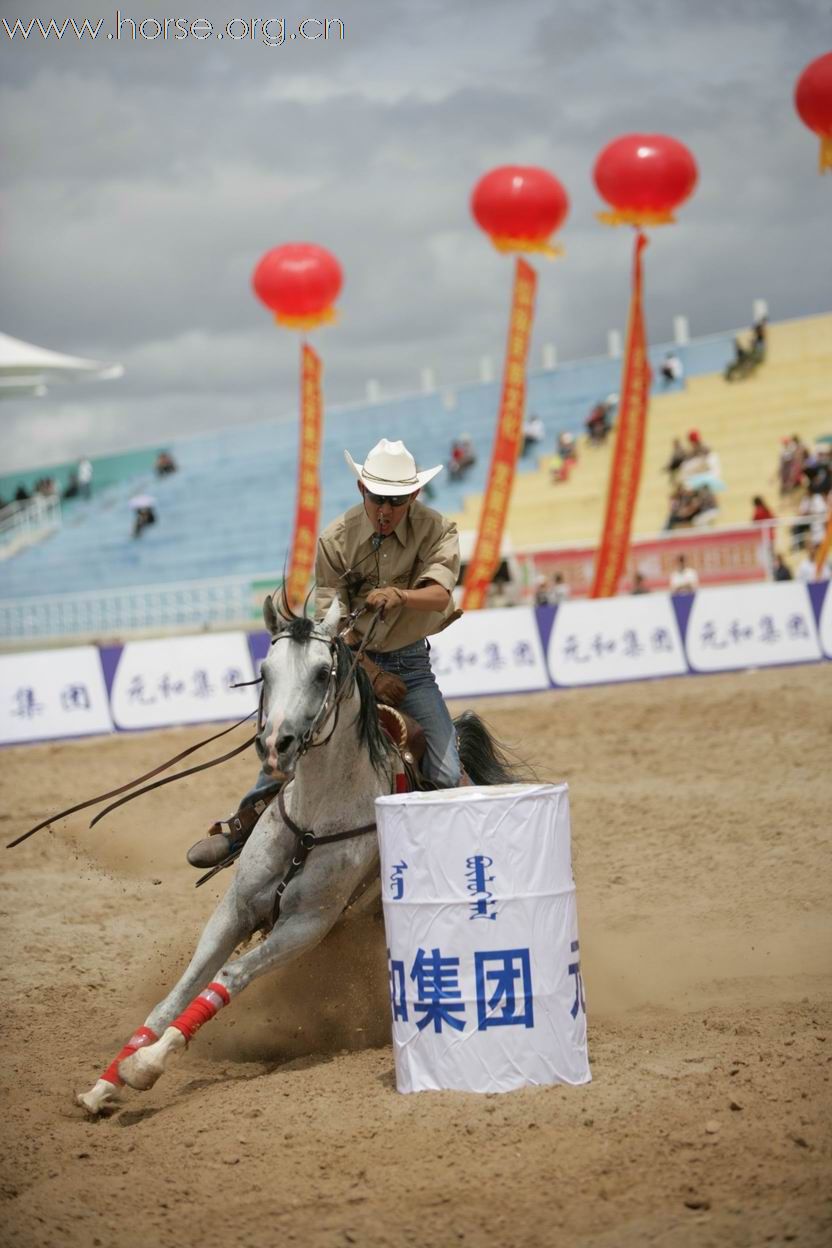 2008西蒙绕桶赛感谢颐和马房提供的马匹