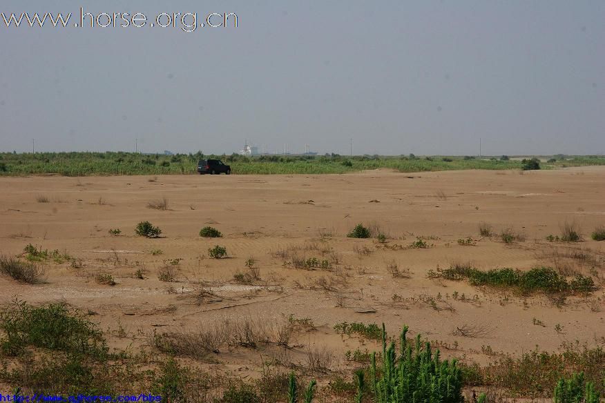 [贴图]挑战自我，挑战极限，7月5日全进马友38度高温浏河沙滩60公里大穿越