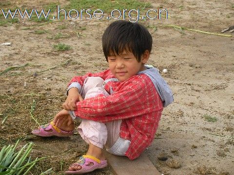 走马科尔沁 驰骋大草原 穿越之旅--活动招募中