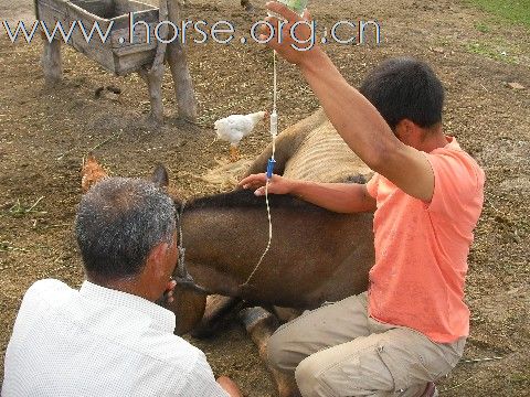 走马科尔沁 驰骋大草原 穿越之旅--活动招募中