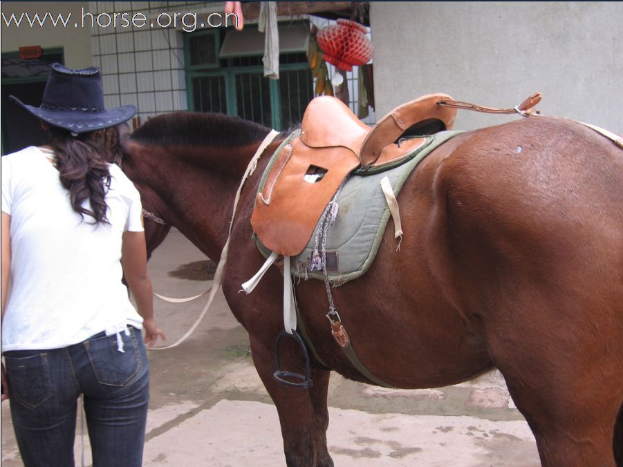 2008-8-10号︿◎悾嫣MM金龙骑马个人特写