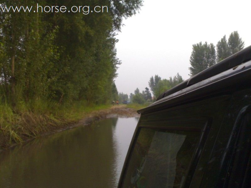 8月，美丽的柳河，美丽的阿古拉，还有美丽的小儿马！！
