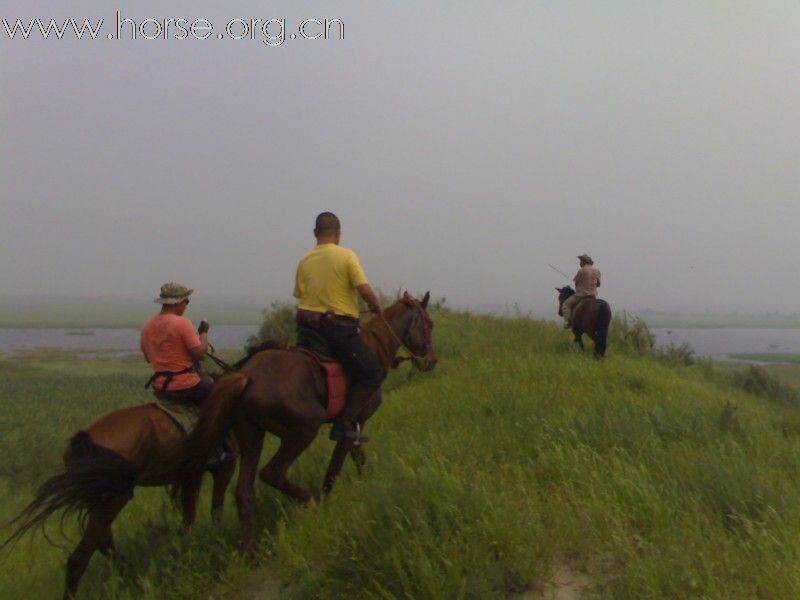 8月，美丽的柳河，美丽的阿古拉，还有美丽的小儿马！！