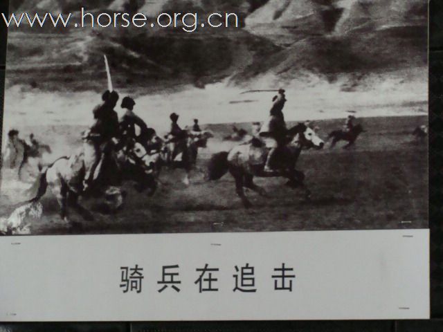 青海湖边骑马PP