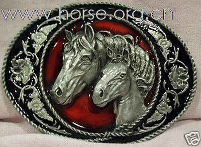新到西部鞍20部图片详见http://saddle.photo.hexun.com/