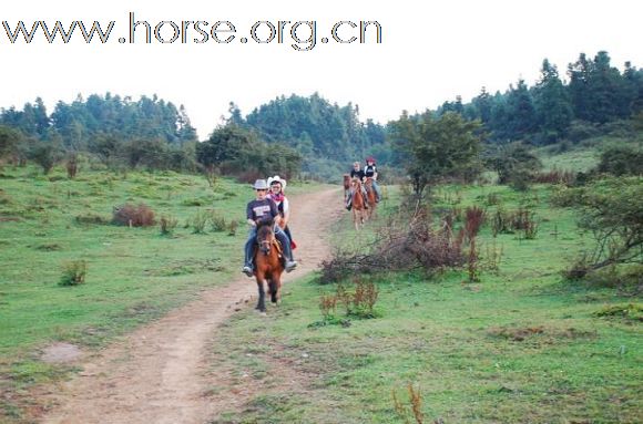 成都马帮在重庆仙女山大草原记录