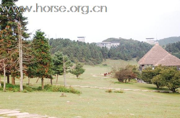 成都马帮在重庆仙女山大草原记录