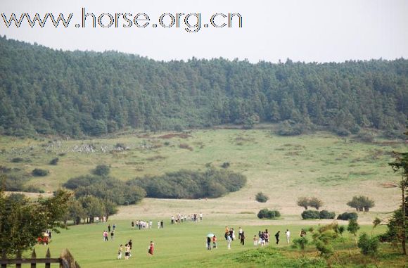 成都马帮在重庆仙女山大草原记录