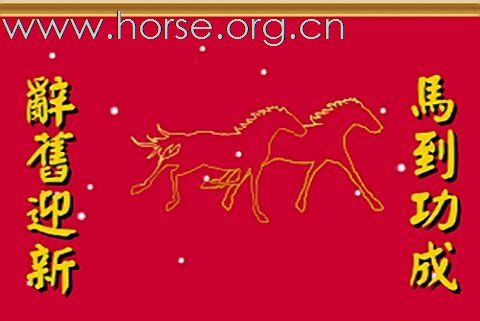 贺凤凰马术俱乐部-----2008场地障碍赛圆满成功!