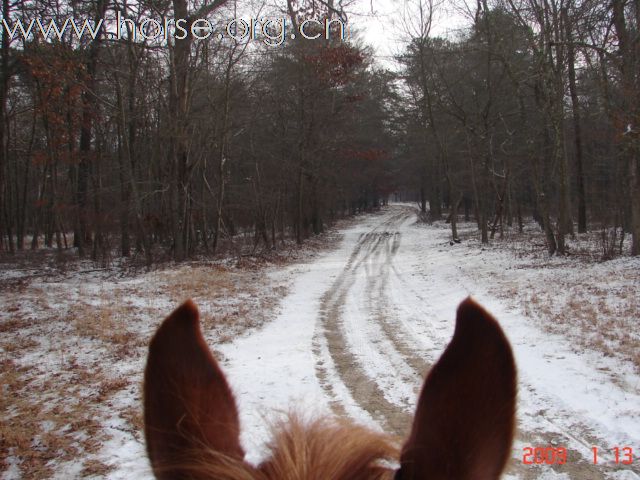 新年玩雪