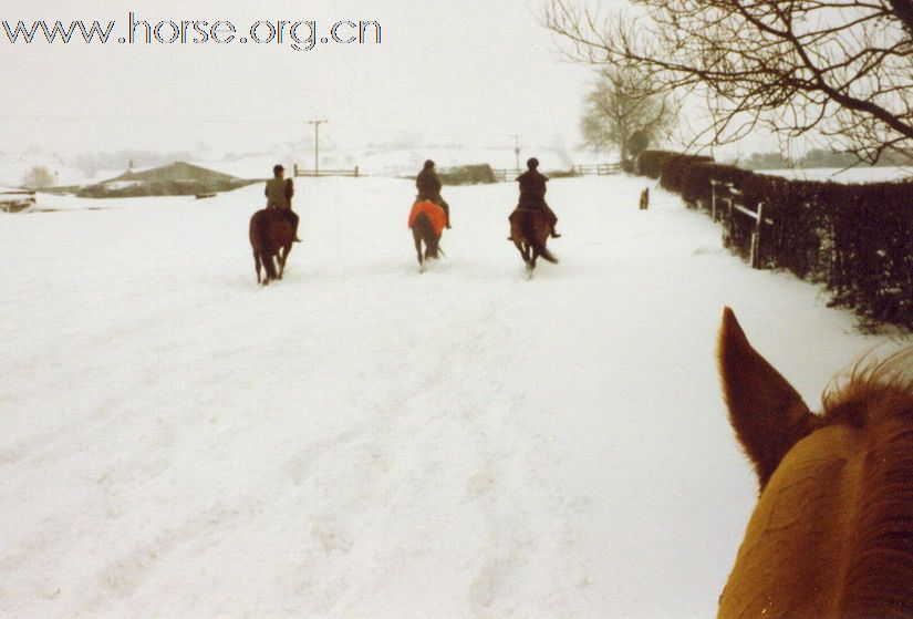 [原创]零下30度雪原牧马，见识中国的西部牛仔