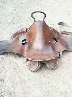 临时订蹄
