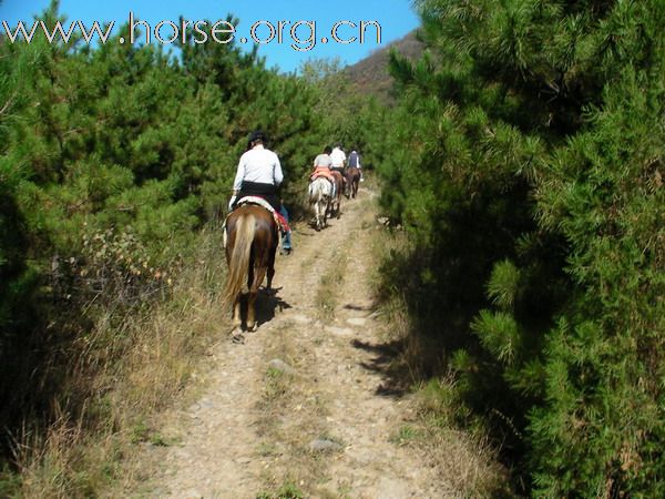 Horseback riding on the Great Wall of Yan? 2 UK Ladies did it!