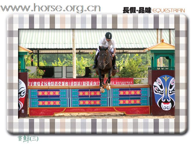 长假 品味EGUESTRIAN:2009天麓骑术场地障碍常规赛(重阳站)(三)
