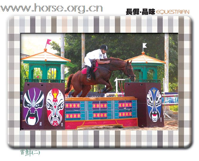 长假 品味EGUESTRIAN:2009天麓骑术场地障碍常规赛(重阳站)(三)