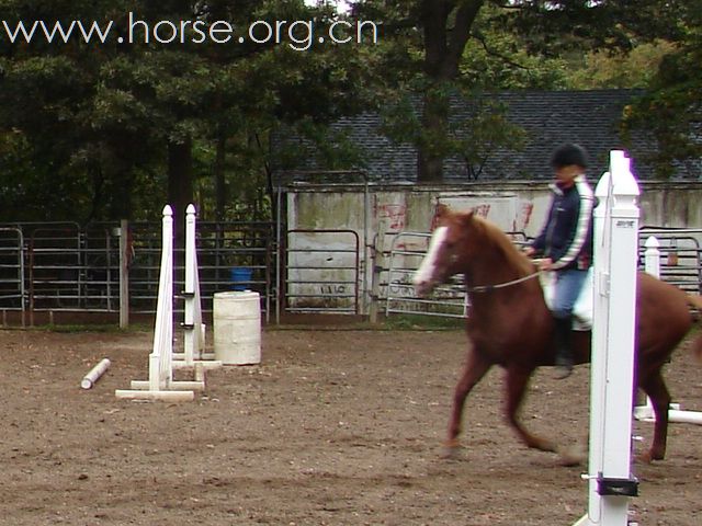 [求助]怎样调教马出正确的领跑腿