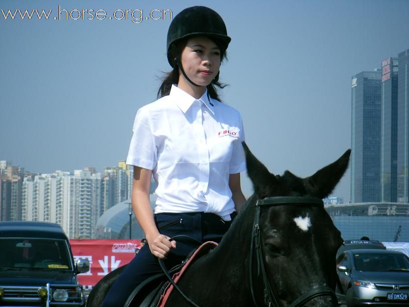 深圳伊玛特马具赞助2009年F1摩托艇世锦赛深圳大奖赛
